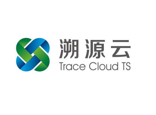 深度解析 北京溯源云为信息咨询服务注入新动能
